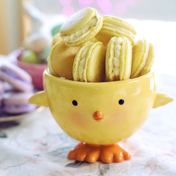 pexels-jill-wellington-3969253.jpg  - 